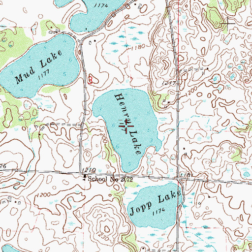 Topographic Map of Henry Lake, MN