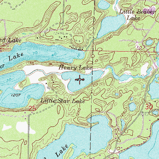 Topographic Map of Henry Lake, MN