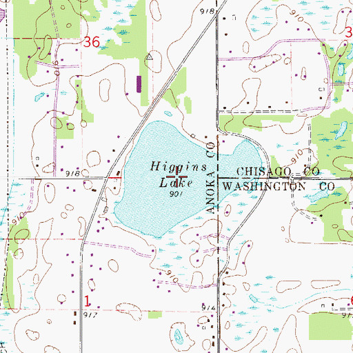 Topographic Map of Higgins Lake, MN