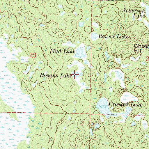 Topographic Map of Hogans Lake, MN