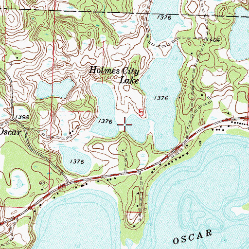 Topographic Map of Holmes City Lake, MN