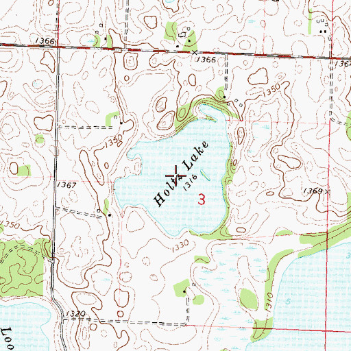 Topographic Map of Holtz Lake, MN