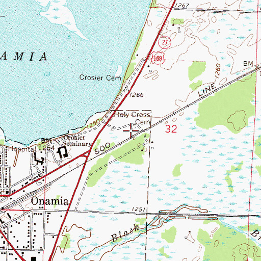 Topographic Map of Holy Cross Cemetery, MN