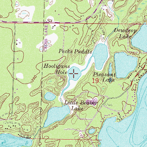 Topographic Map of Hooligans Hole, MN