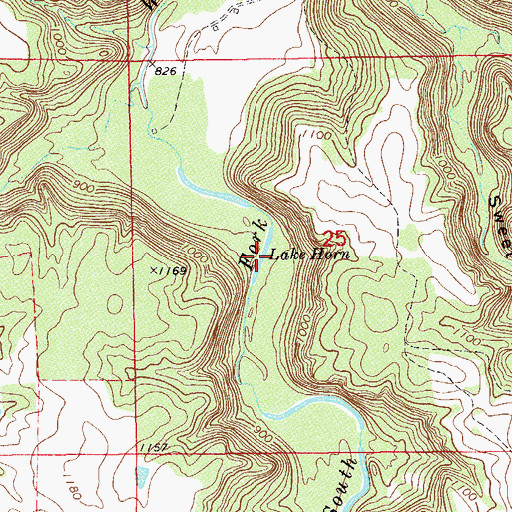 Topographic Map of Lake Horn, MN