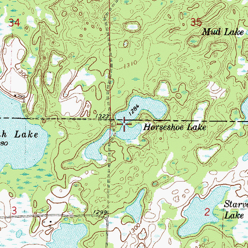 Topographic Map of Horseshoe Lake, MN