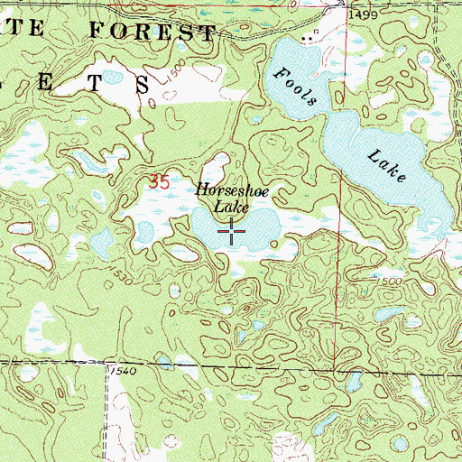 Topographic Map of Horseshoe Lake, MN
