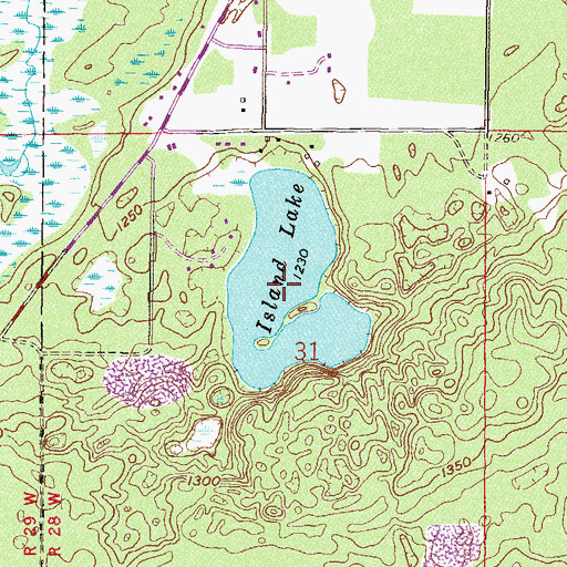Topographic Map of Island Lake, MN