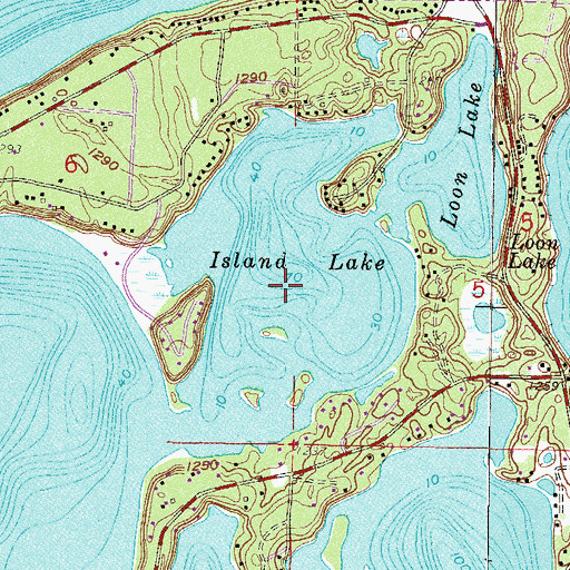 Topographic Map of Island Lake, MN
