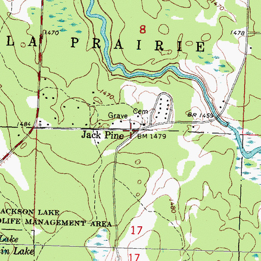 Topographic Map of Jack Pine, MN