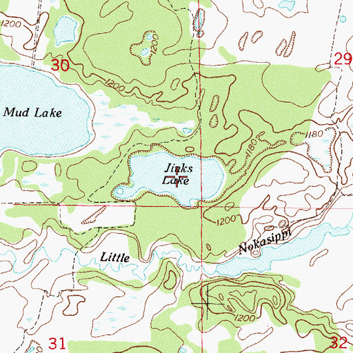 Topographic Map of Jinks Lake, MN