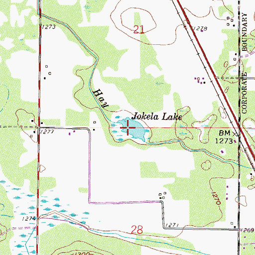 Topographic Map of Jokela Lake, MN
