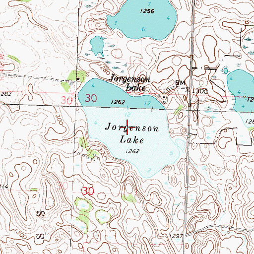 Topographic Map of Jorgenson Lake, MN