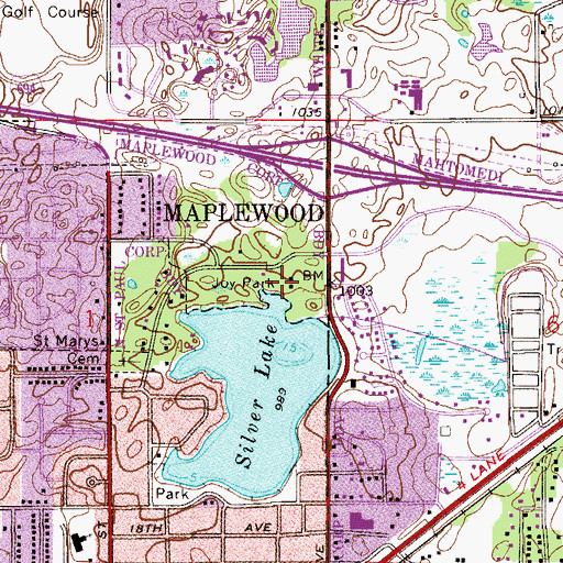 Topographic Map of Joy Park, MN