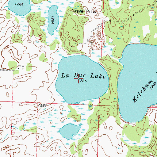 Topographic Map of La Duc Lake, MN