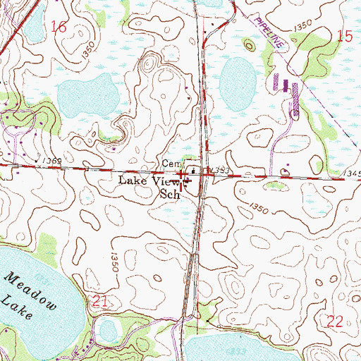 Topographic Map of Lake View School, MN