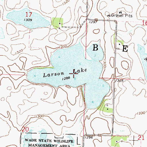 Topographic Map of Larson Lake, MN