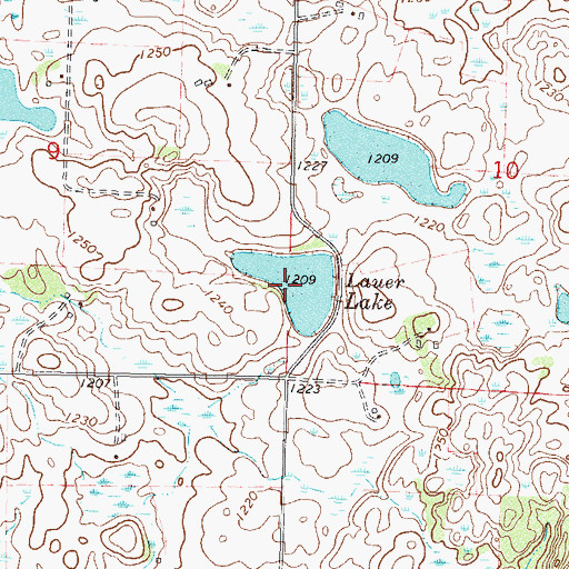 Topographic Map of Lauer Lake, MN
