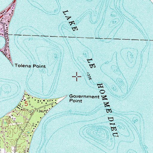 Topographic Map of Lake Le Homme Dieu, MN