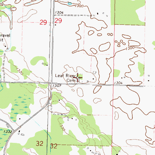 Topographic Map of Leaf River Cemetery, MN