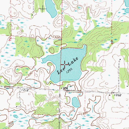 Topographic Map of Lee Lake, MN
