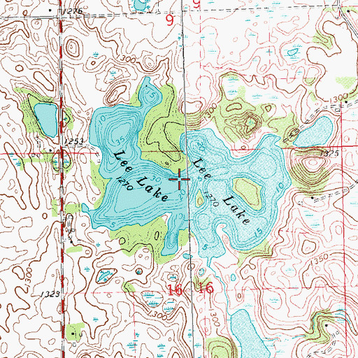 Topographic Map of Lee Lake, MN