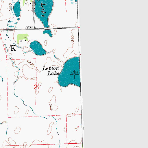 Topographic Map of Lemon Lake, MN