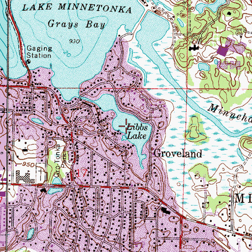 Topographic Map of Libbs Lake, MN