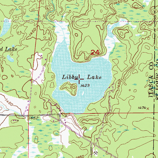 Topographic Map of Libby Lake, MN