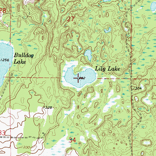 Topographic Map of Lily Lake, MN