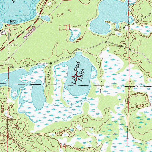 Topographic Map of Lily Pad Lake, MN