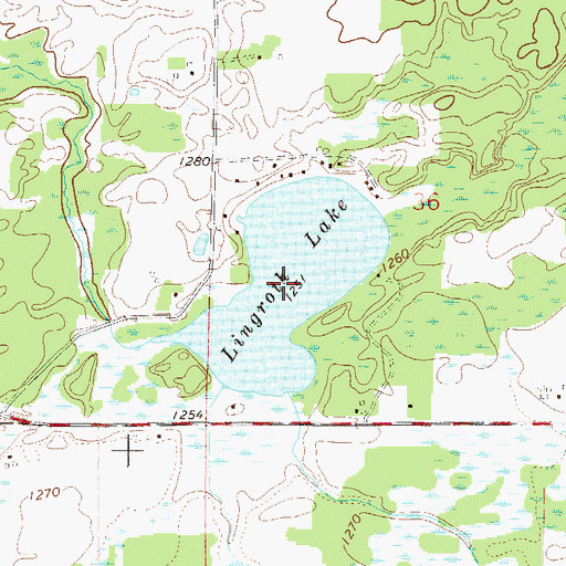 Topographic Map of Lingroth Lake, MN