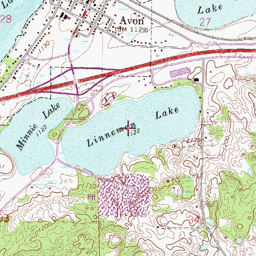 Topographic Map of Linneman Lake, MN