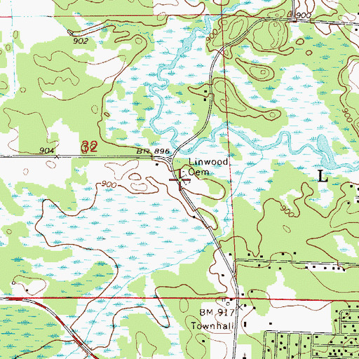 Topographic Map of Linwood Township Cemetery, MN