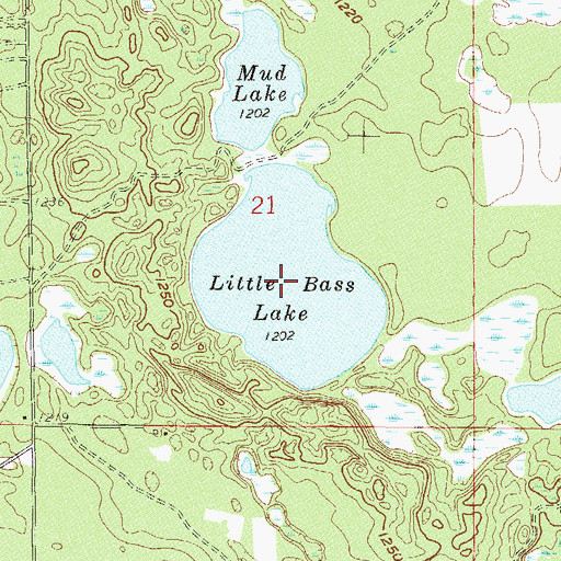 Topographic Map of Little Bass Lake, MN