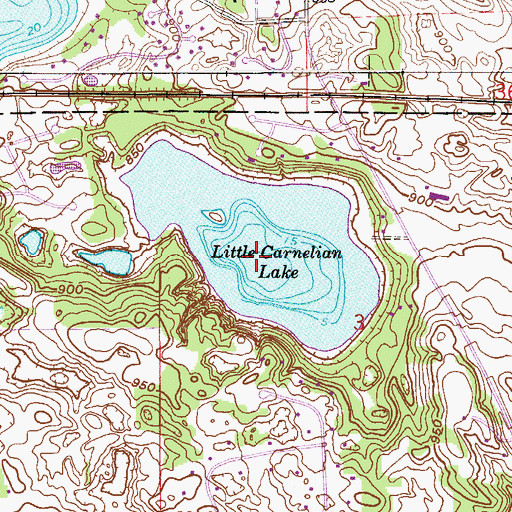Topographic Map of Little Carnelian Lake, MN