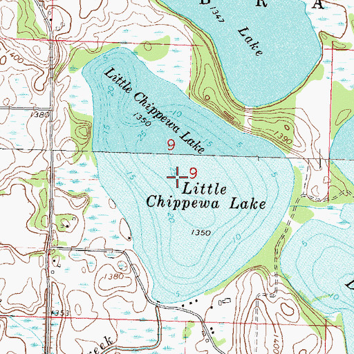 Topographic Map of Little Chippewa Lake, MN