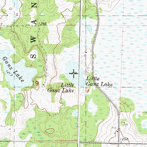Topographic Map of Little Ganz Lake, MN