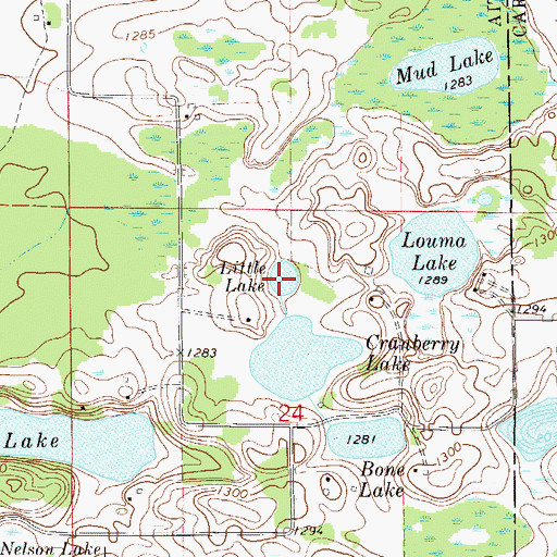 Topographic Map of Little Lake, MN
