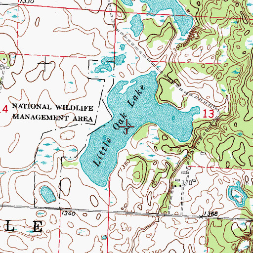 Topographic Map of Little Oak Lake, MN