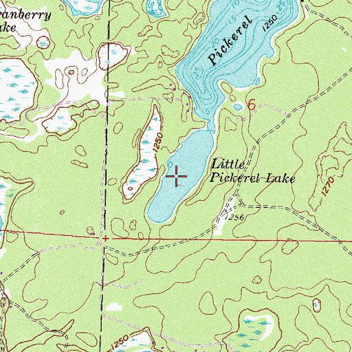 Topographic Map of Little Pickerel Lake, MN