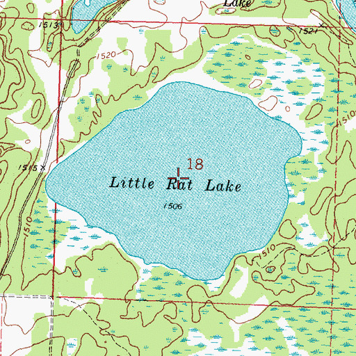 Topographic Map of Little Rat Lake, MN