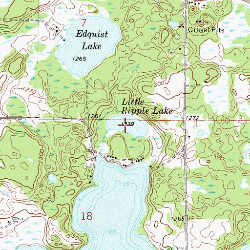 Topographic Map of Little Ripple Lake, MN