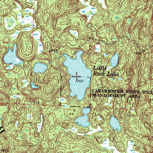 Topographic Map of Little Rock Lake, MN
