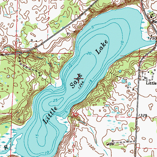Topographic Map of Little Sauk Lake, MN