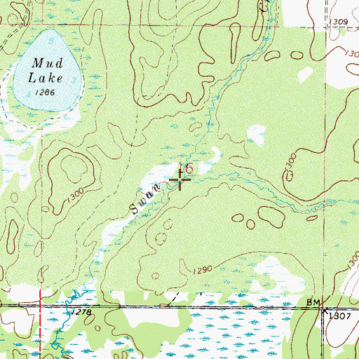 Topographic Map of Little Swan Creek, MN