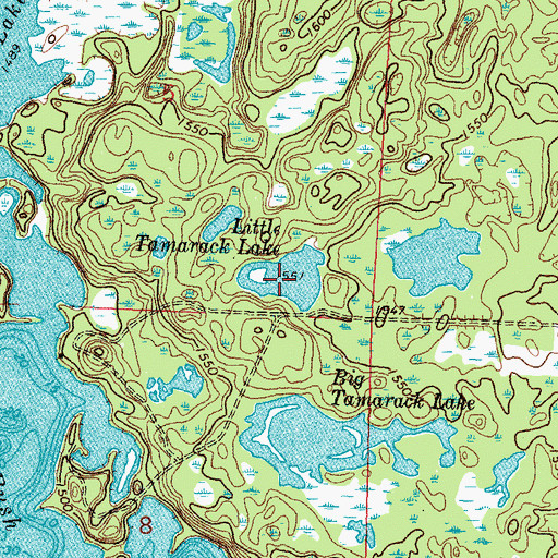 Topographic Map of Little Tamarack Lake, MN