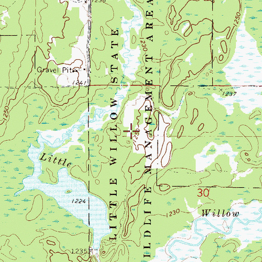 Topographic Map of Little Willow State Wildlife Management Area, MN