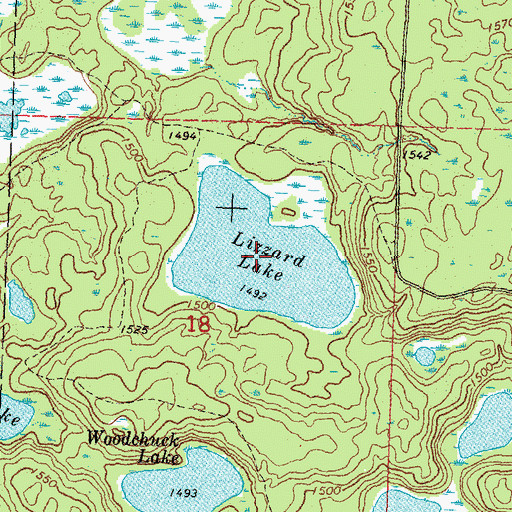 Topographic Map of Lizzard Lake, MN