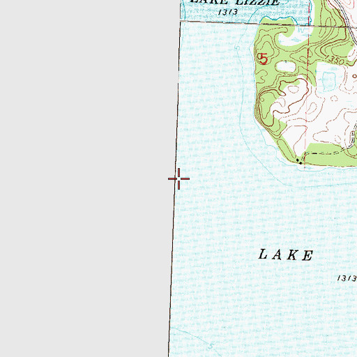 Topographic Map of Lake Lizzie, MN